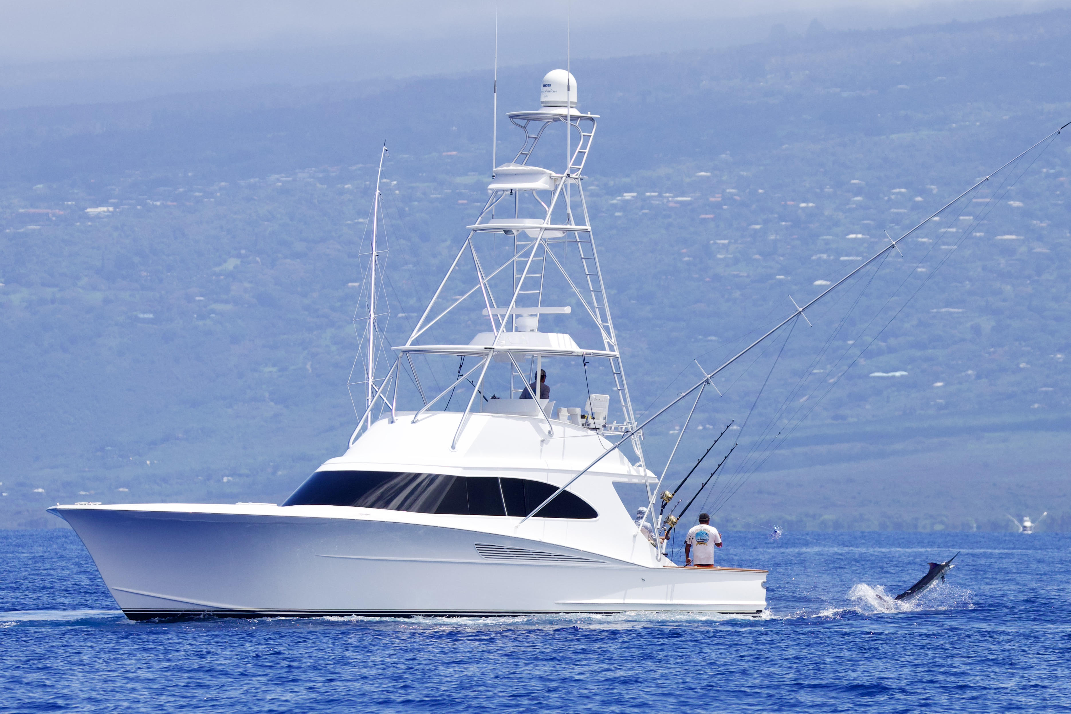 Sport fishing boat with marlin - CoolWater LLC custom software development